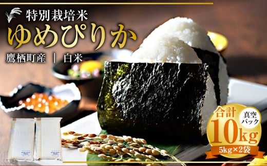 【令和7年産】 ゆめぴりか (白米) 真空パック 5kg×2袋 10kg 北海道 鷹栖町 たかすタロファーム 米 コメ こめ ご飯 白米 お米 ゆめぴりか コメ白米 白米