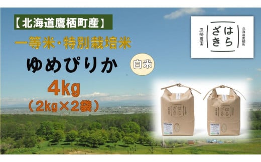 【令和7年産】一等米・特別栽培米 4kg【ゆめぴりか白米】2kg×2（農薬7割減）北海道 鷹栖町 原崎農園