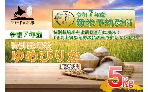 【令和7年産】 ゆめぴりか (無洗米) 北海道 米 を代表する人気の品種 5kg  北海道 鷹栖町 たかすのお米 米 コメ こめ ご飯