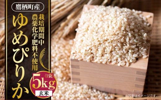 A241 【令和7年産】 ゆめぴりか ( 玄米 ) 栽培期間中農薬化学肥料不使用 5kg たかすタロファーム 北海道 鷹栖町 米 コメ こめ ご飯 お米