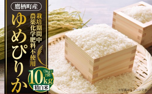 A242 【令和7年産】 ゆめぴりか ( 精白米 ) 栽培期間中農薬化学肥料不使用 5kg×2袋 たかすタロファーム 北海道 鷹栖町 米 コメ こめ ご飯 お米 白米