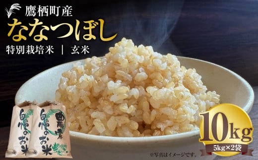 【令和7年産】 ななつぼし (玄米) 5kg×2袋 北海道 鷹栖町 たかすタロファーム 米 コメ こめ ご飯 玄米 お米 ゆめぴりか コメ 玄米