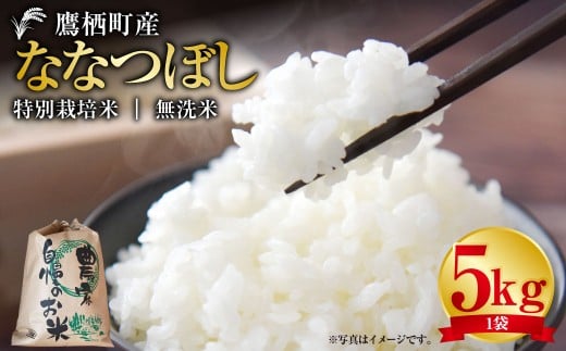 【令和7年産】 ななつぼし (無洗米) 5kg 北海道 鷹栖町 たかすタロファーム 米 コメ こめ ご飯 無洗米 お米 ななつぼし 無洗米