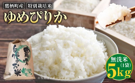 【令和7年産】 ゆめぴりか (無洗米) 5kg 北海道 鷹栖町 たかすのおむすび 米 コメ ご飯 無洗米 お米