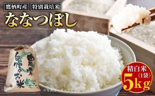 【令和7年産】 ななつぼし (精白米) 5kg 北海道 鷹栖町 たかすのおむすび 米 コメ ご飯 精白米 お米