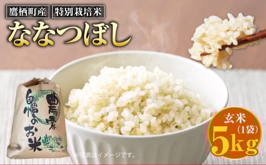【令和7年産】 ななつぼし (玄米) 5kg 北海道 鷹栖町 たかすのおむすび 米 コメ ご飯 玄米 お米