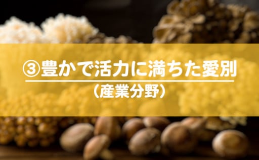 ３．豊かで活力に満ちたまちづくり事業（産業分野）