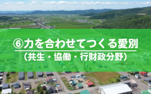６．力を合わせてつくるまちづくり事業（共生・協働・行財政分野）