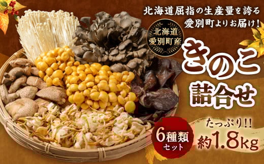 きのこ詰合せ (6種類) セット 【B05201】
