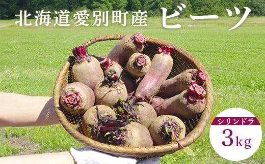 季節限定 ビーツ （シリンドラ） 3kg 【B10404】