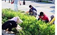 (8)町民によるまちづくり活動の推進に関する事業
