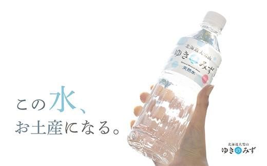北海道大雪山ゆきのみず(550ml×24本入り) 1箱【 水 ミネラルウォーター 北海道 大雪山 自然水 軟水 クリーンウォーター ミネラル豊富北海道産水 定期便 】