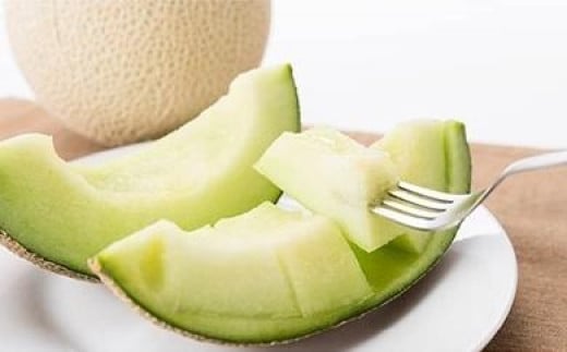 ≪訳あり≫家庭用★2026年夏発送★ 岸田農園産 青肉メロン 2玉入り(サイズ:1.8kg以上)【10セット限定】【 果物 メロン フルーツ 北海道 上川町 岸田農園 甘いジューシー 季節限定 甘みたっぷり メロンギフト 産地直送 くだもの 】