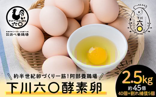 Mサイズ 2.5kg 約45個(40個+割れ補償5個) 約半世紀卵づくり一筋 !『下川六〇酵素卵』 下川ろくまる あべ養鶏場 割れ補償付き たまご 玉子 タマゴ ふるさと 納税 国産 北海道産 北海道 下川町 F4G-0301