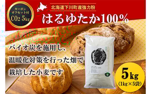 北海道下川町産強力粉はるゆたか100% 5kg バイオ炭施用 カーボン・オフセット付 F4G-0197