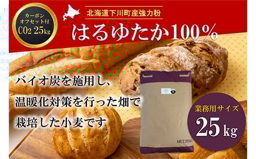 北海道下川町産強力粉はるゆたか100% 25kg バイオ炭施用 カーボン・オフセット付 業務用紙袋 F4G-0219