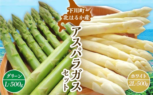 【先行予約】令和8年産 グリーン・ホワイトアスパラセット 1kg(グリーンアスパラ Lサイズ・ホワイトアスパラ 2Lサイズ)野菜 やさい ふるさと 納税 国産 北海道産 北海道 下川町 F4G-0287