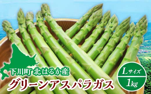 【先行予約】令和8年産グリーンアスパラガス 1kg Lサイズ(令和8年5月中旬~6月中旬頃発送) アスパラ 野菜 やさい ふるさと 納税 国産 北海道産 北海道 下川町 F4G-0286