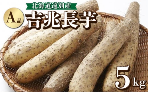 遠別産 吉兆長芋 （A品5kg）