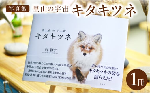 【写真集】里山の宇宙（さとやまのくうかん）キタキツネ