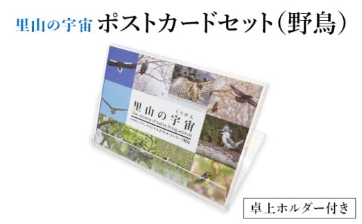 【泊和幸】ポストカードセット　里山の宇宙（野鳥）