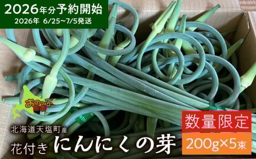 2026年分予約開始★北海道産にんにくの芽 200g×5束《おのっぷ農園》