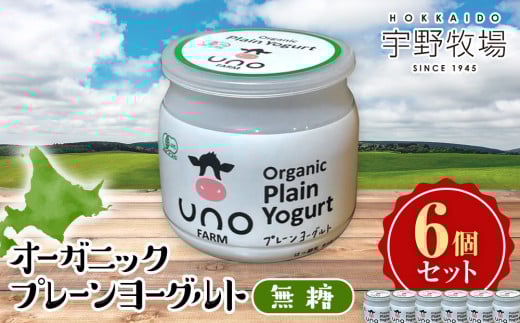 オーガニックプレーンヨーグルト(無糖)6個セット