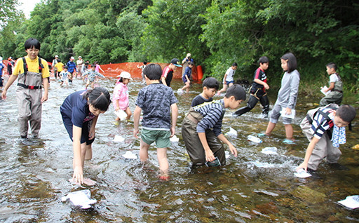 1. 事業の選択を町長に委任する