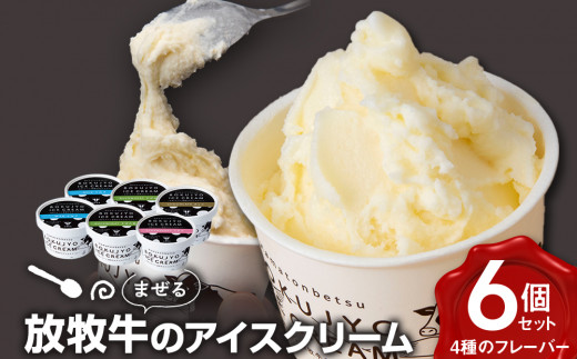 北海道 お菓子 スイーツ 放牧牛 アイスクリーム 4種6個 【池田牧場】