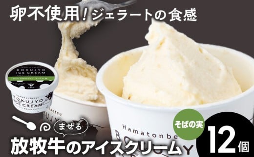 放牧牛 アイスクリーム 12個(そばの実) 【池田牧場】