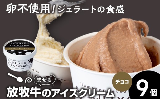 放牧牛 アイスクリーム9個(チョコ) 【池田牧場】
