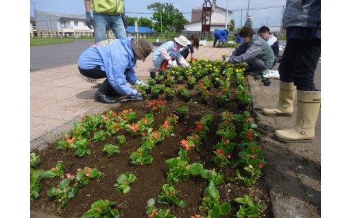 ⑤ふるさと利尻富士町の地域振興に関する事業