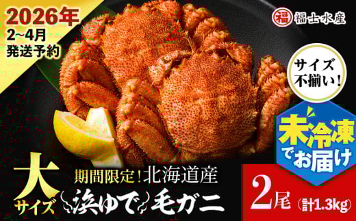 [2026年発送予約]チルドでお届け! 浜茹で毛ガニ大サイズ2尾(不揃い合計約1.3kg) [福士水産]