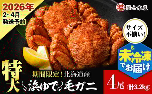 [2026年発送予約]チルドでお届け! 浜茹で毛ガニ特大4尾(不揃い合計約3.2kg) [福士水産]