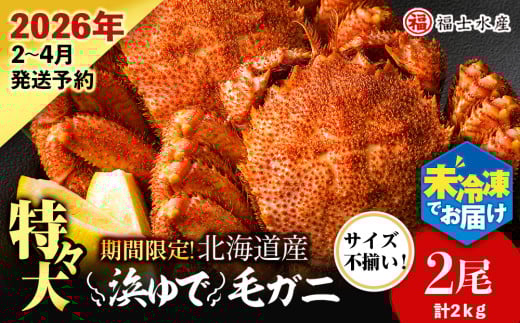 [2026年発送予約]チルドでお届け! 浜茹で毛ガニ特々大2尾(不揃い合計約2kg) [福士水産]