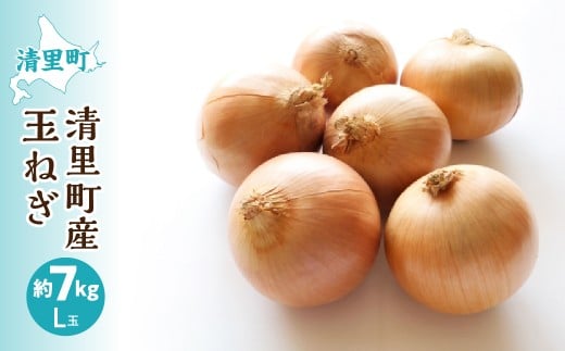 【先行予約】清里産玉ねぎセット<L玉 7kg>(2025年10月中旬より順次発送) 【 ふるさと納税 人気 おすすめ ランキング 野菜 玉ねぎ たまねぎ タマネギ 新鮮 北海道 清里町 送料無料 】 KYSB011