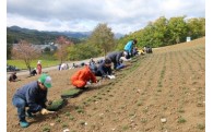 (1)滝上町のシンボルである芝ざくらを、守り育てていくための事業