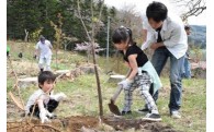 (2)恵まれた自然景観・環境を守るための植樹等の事業