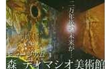 太陽の森ディマシオ美術館 入館招待券(往復ハイヤー付)