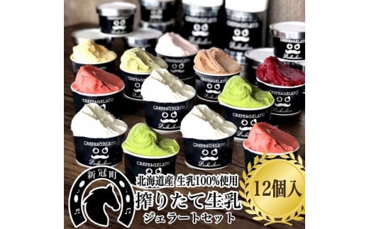 生乳の極みプレミアムジェラートセット D(12個入り)