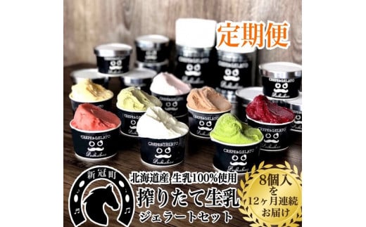12ヶ月定期便 生乳の極みプレミアムジェラートセットB（8個入）