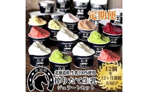 12ヶ月定期便 生乳の極みプレミアムジェラートセットD（12個入）