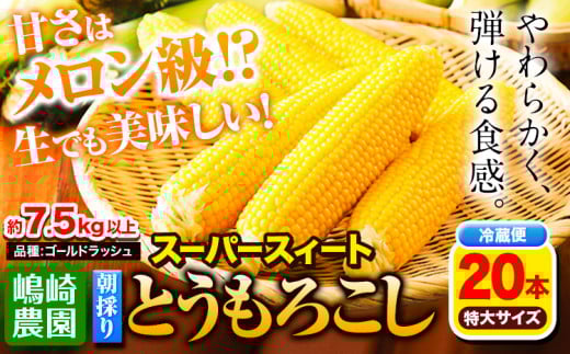 朝採りとうもろこし スーパースィート 「ゴールドラッシュ」  20本(1本380g以上) Lサイズ  《2026年8月上旬-9月上旬頃出荷》嶋崎農園 送料無料 北海道 本別町北海道 十勝 本別町産 スーパースイート トウモロコシ 一番果 冷蔵便 甘い