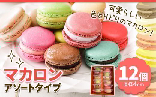 マカロン アソートタイプ 12個入り 欧風ケーキ工房 かねもり 《45日以内に出荷予定(土日祝除く)》 北海道 本別町 送料無料 スイーツ デザート 洋菓子 お菓子 全15種 ランダム