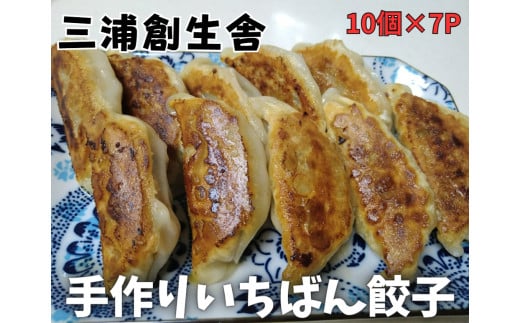 三浦創生舎のいちばん餃子（ハートフルさと納税）　M101-001