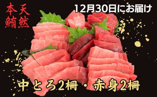 【お正月用B】天然本鮪中とろ2柵・赤身2柵(2025年12月30日にお届け) M005-051-02