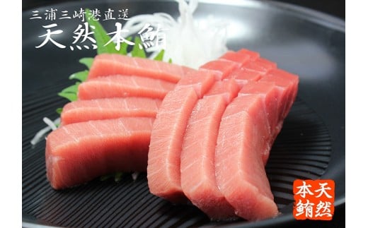 【定期便】天然本鮪中とろ2柵赤身2柵ネギトロ1パックを12回分　M007-T07