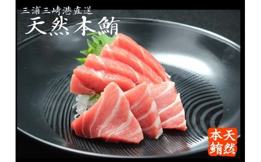 【定期便】極上品天然本鮪大とろ3柵中とろ3柵赤身3柵を8回分　M007-T04