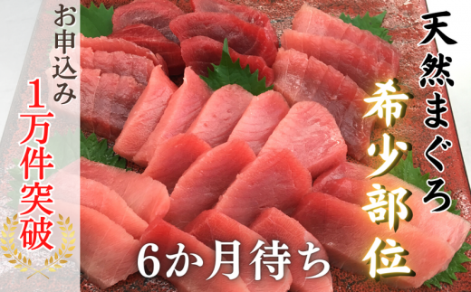 本物の味をお届け!厳選!天然三崎まぐろ<希少部位>背トロ&中トロ・赤身 M005-039
