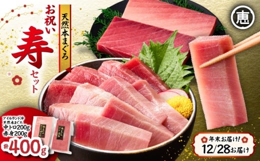 【年末・正月用/12月28日お届け】天然 本まぐろ お祝い寿セット 中トロ200g 赤身200g 迎春 三崎まぐろ 三崎恵水産 M020-021-01-10
